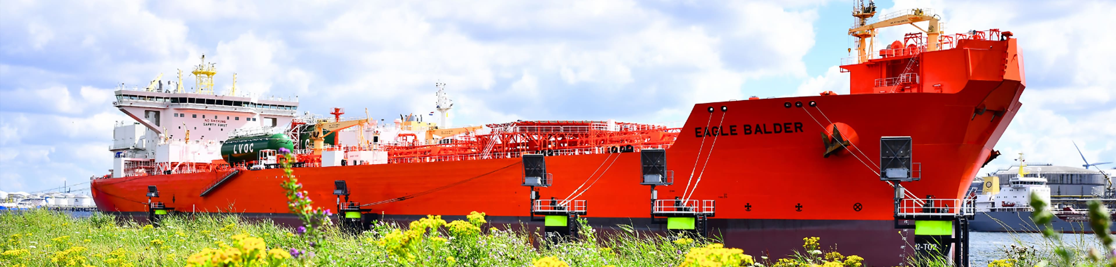 LNG Dual-Fuel Dynamic Positioning Shuttle Tanker Eagle Balder docked at port surrounded by greenery and wildflowers in the foreground.