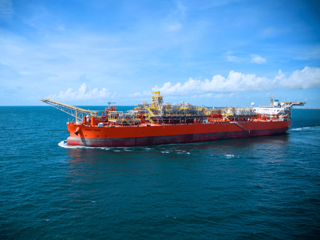 Eagle Texas in the ocean